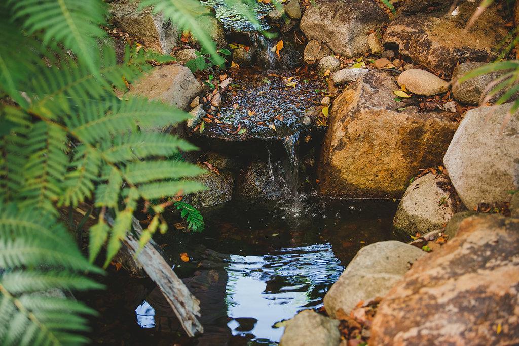 Noosa Valley Manor B&B Doonan Luaran gambar