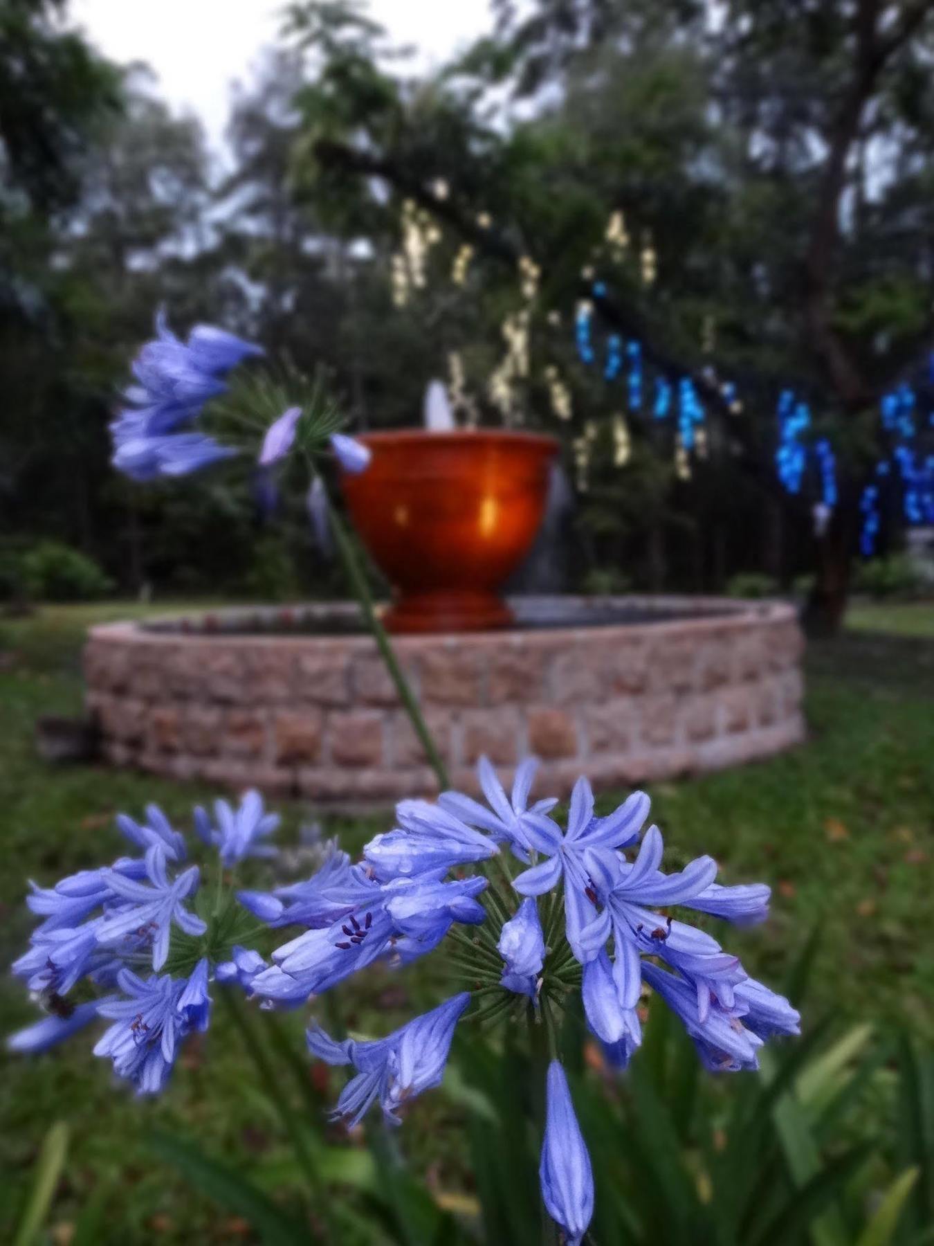 Noosa Valley Manor B&B Doonan Luaran gambar