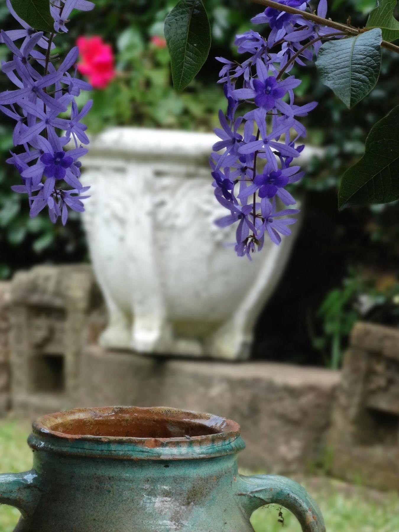 Noosa Valley Manor B&B Doonan Luaran gambar